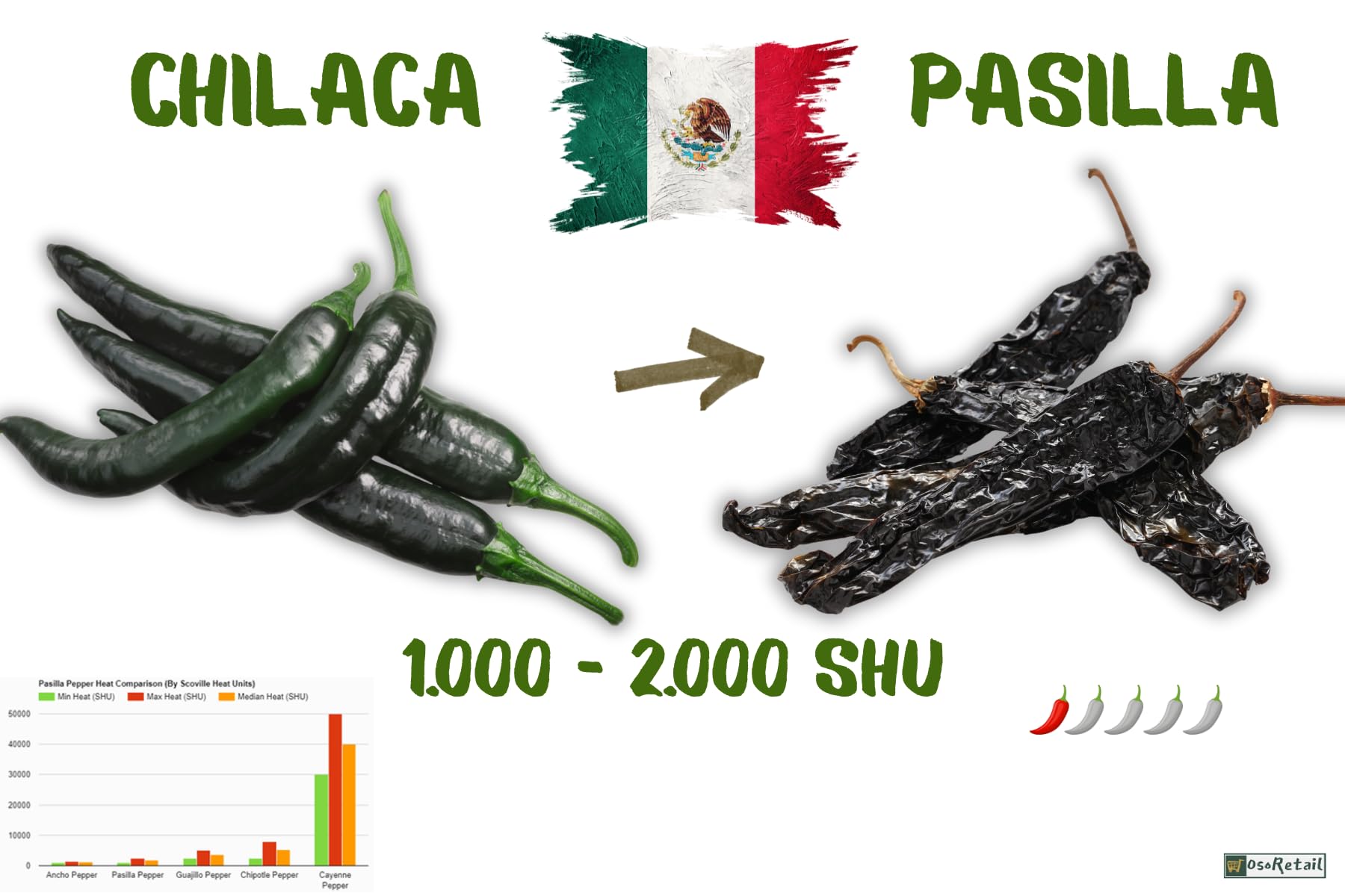 OsoRetail Pack 4x100g Chiles Secos de México | Pack 4 Chiles Gourmet (Ancho, Guajillo, Árbol, Pasilla) | 4 × 100 g | Ideal para Moles y Salsas Artesanales