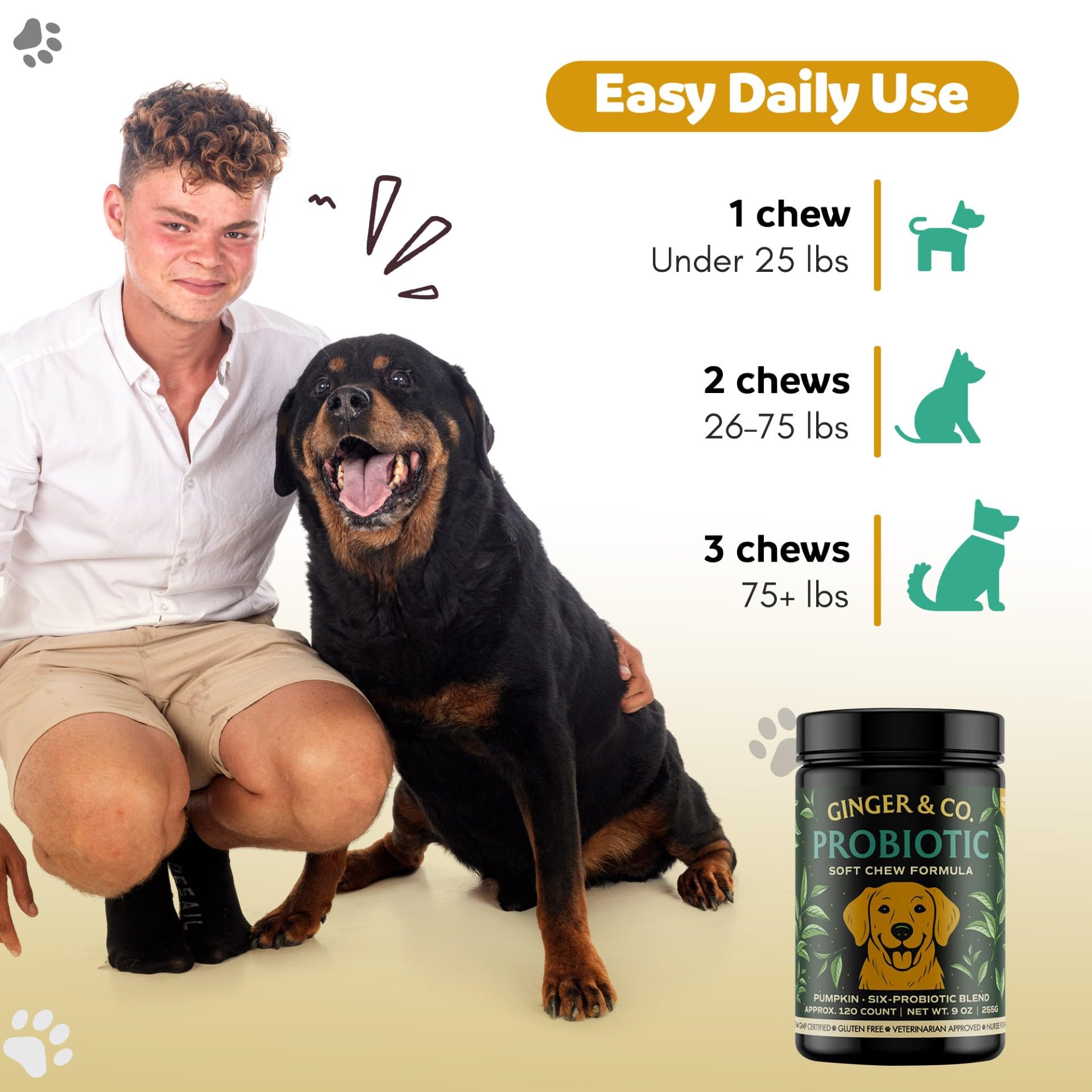 Ginger & Co Dog Probiotic Chews – Digestive Support for Loose Stool, Gas & Sensitive Stomach – Pumpkin, Enzymes & 1 Billion CFU Probiotics – Cold Pressed, No Fillers – Made in USA ~ 120 Chews - image 5