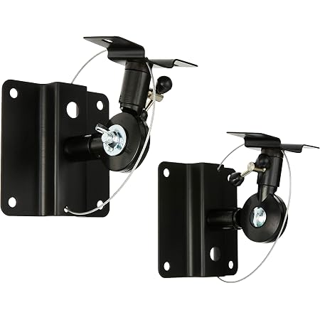 Capacity Speaker Wall Mount Brackets 