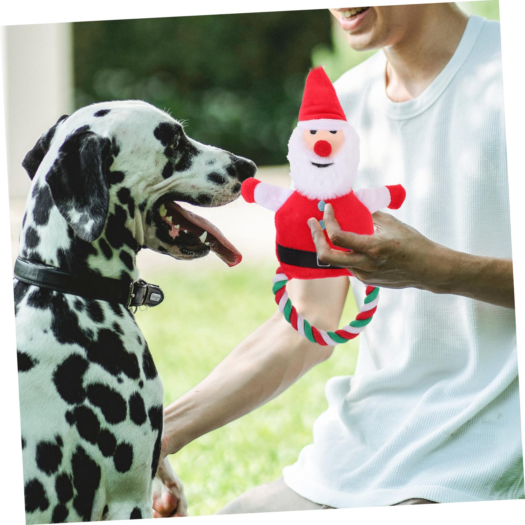 BESPORTBLE 5stücke Puppy Chew Toy Santa Claus Form Interaktives Spielzeug Für Hunde Quietschend Und Langlebig Für Weihnachten Fördert Das Kauen Intelligenz Von Haustieren