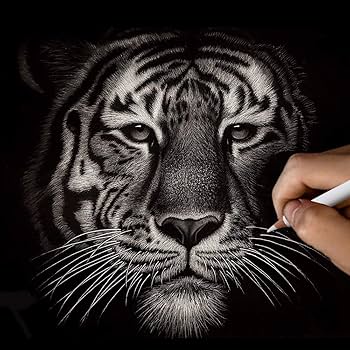 Amazon | MODOLATA ホワイトチャコール鉛筆 アーティスト用 ホワイト