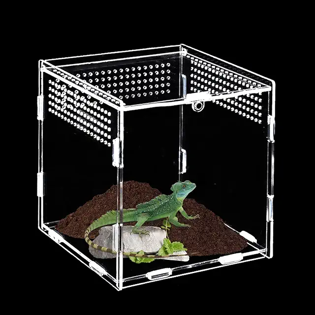 Springspin Terrarium: 15cm Acrylic Reptile Feeding Box for Spiders & Snails