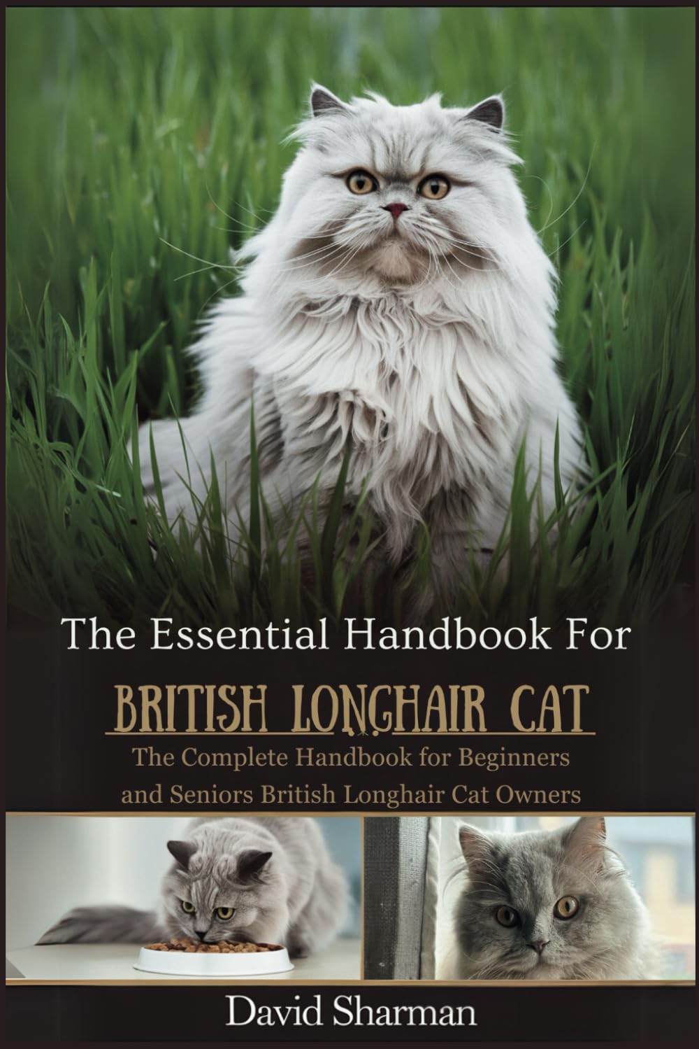 THE ESSENTIAL HANDBOOK FOR BRITISH LONGHAIR CAT: The Complete Handbook For Beginners And Seniors British Longhair cat owners