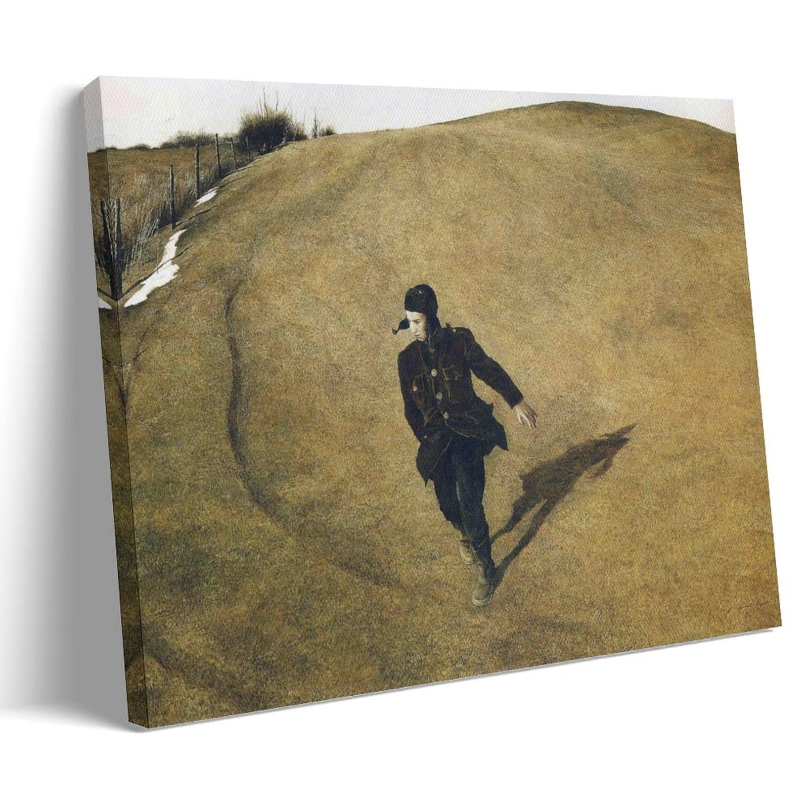 Amazon.co.jp: Andrew Wyethアンドリュー・ワイエス絵画（1946年 冬