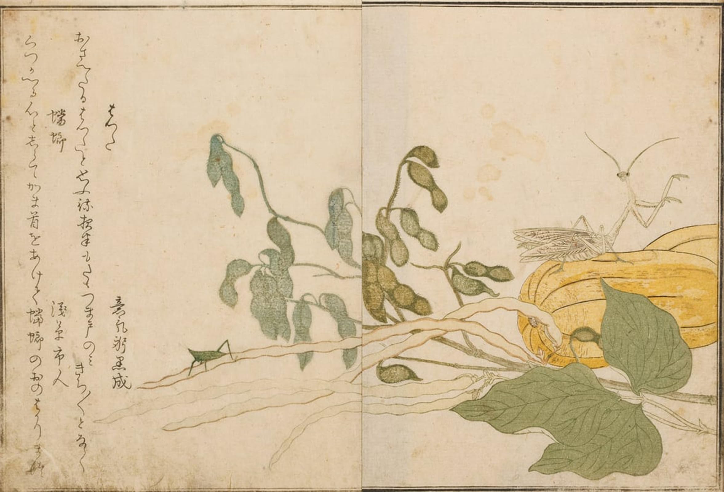 POSTERIIk Famous Animal Posters Vintage Picture Grasshopper and Praying Mantis by Kitagawa Utamaro Modern Wall Decor for Home Decor 60x90cm