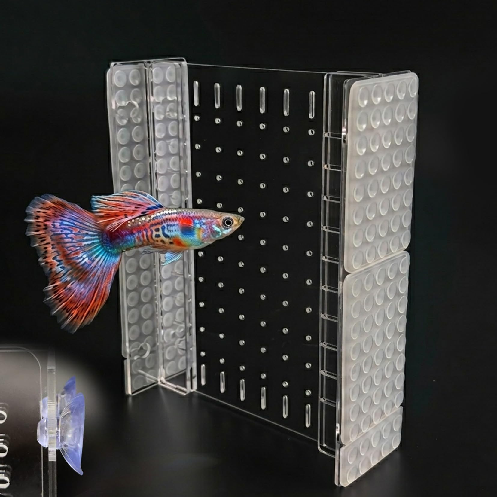 LIYAOLI Divisore per acquario, separatore regolabile in acrilico con ventose per acquario lungo 15/20 galloni, divisore per serbatoio da 28,4 x 28,9 cm