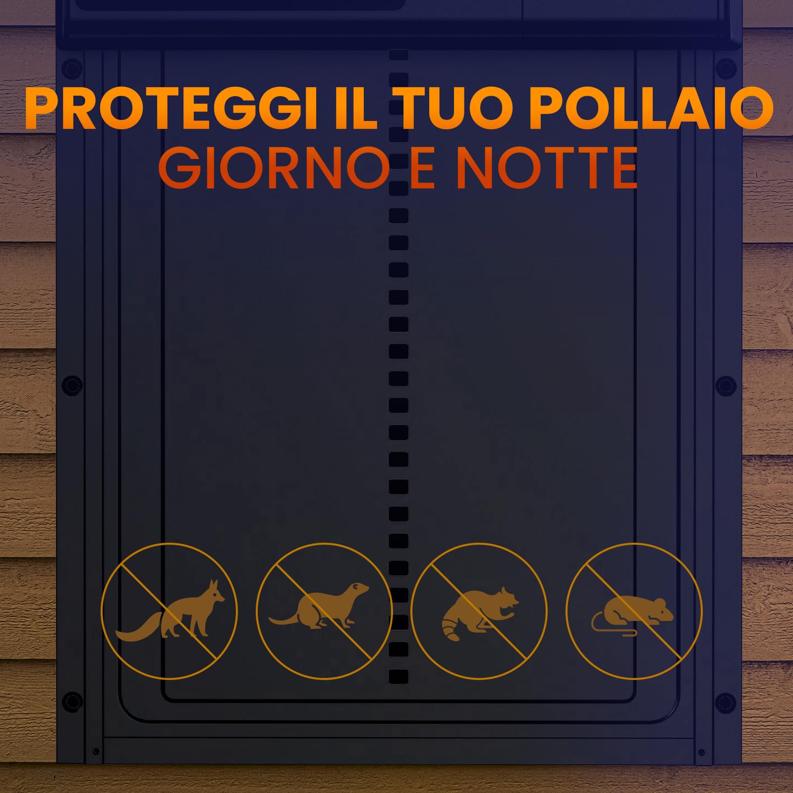 Chicken Coop Door Lite Porta Automatica per Pollaio, Schermo LCD | Batterie 3x Aa Incluse, Modalità Timer e Manuale, Sistema Anti-schicciamento, Apertura 28 X 24 CM, Due di Funzionamento