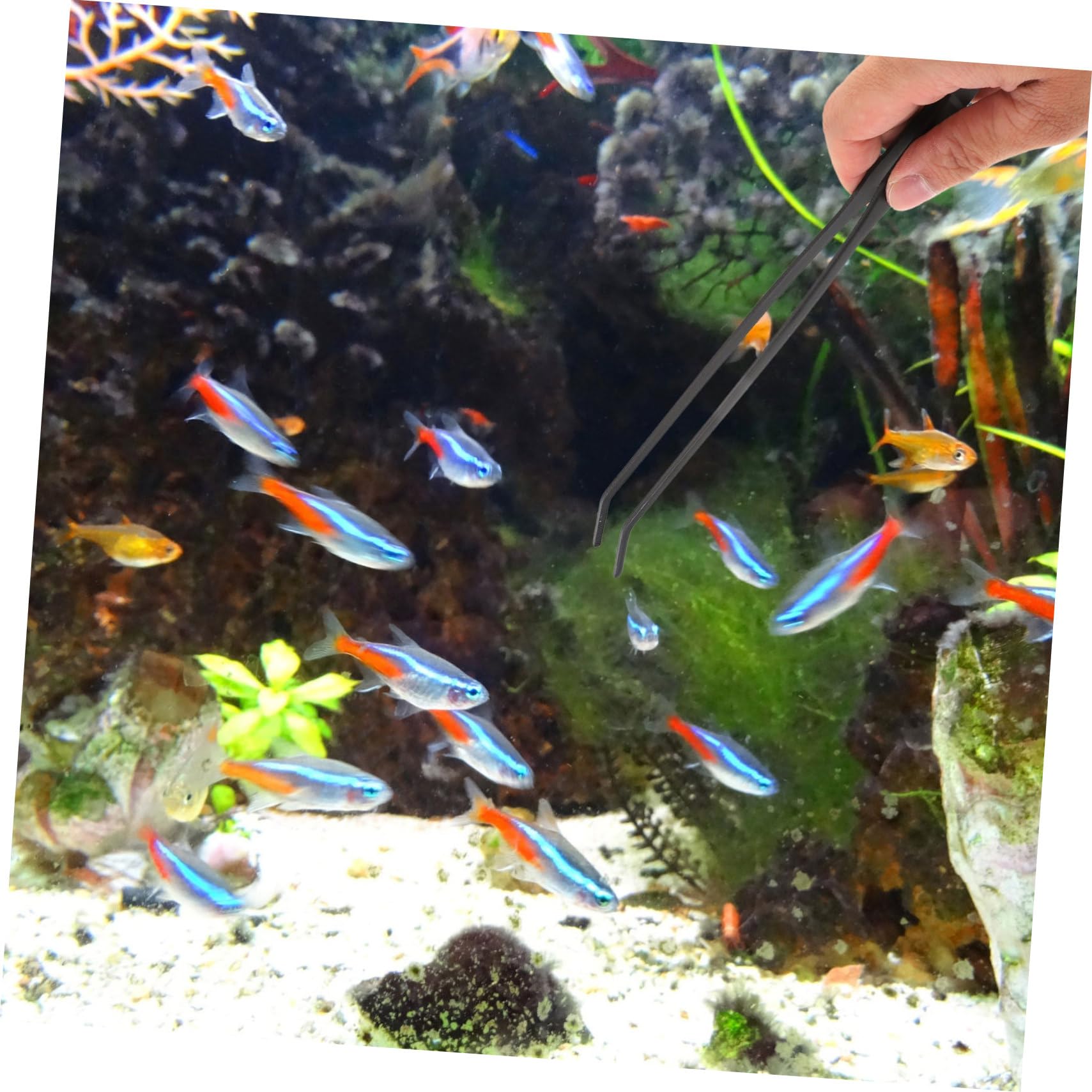 Happyyami 2sätze Aquarium Reinigungs Und Futterset Teiliges Edelstahl-Werkzeug Für Präzise Fischfütterung Und Effektive Aquarienpflege
