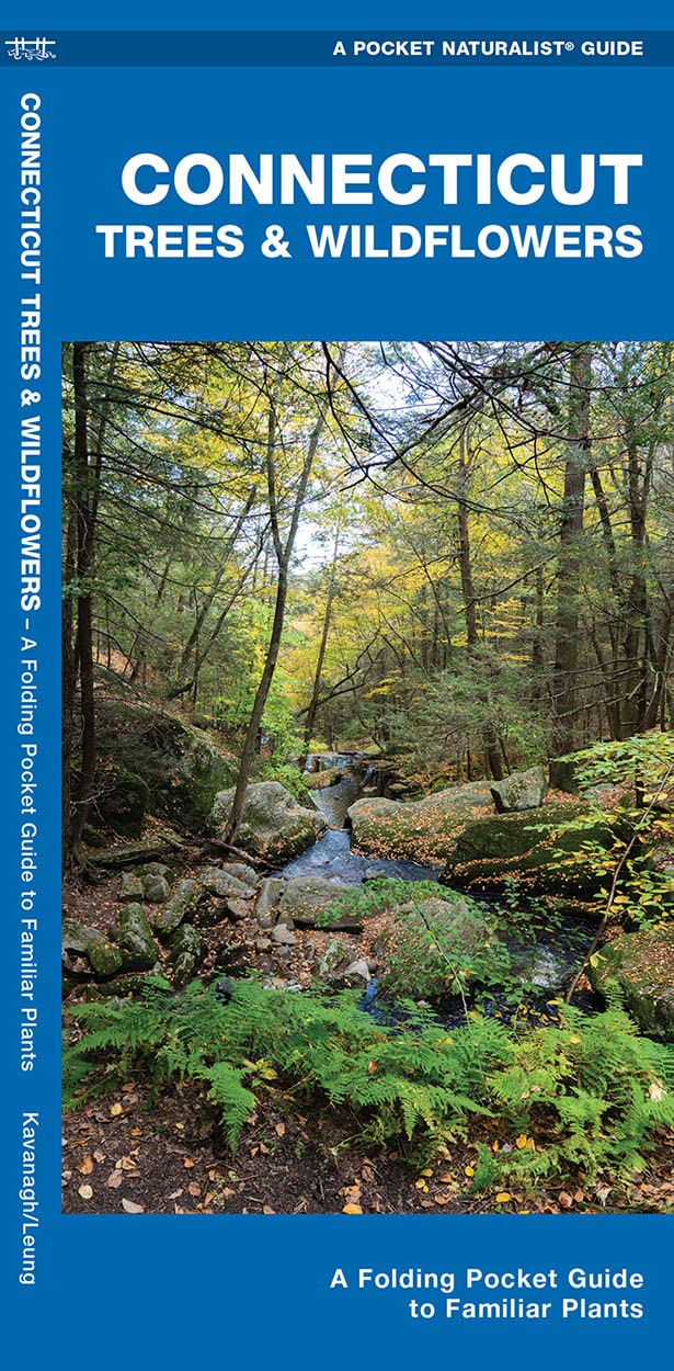 Connecticut Trees & Wildflowers: A Folding Pocket Guide to Familiar Plants (Nature Observation North America)
