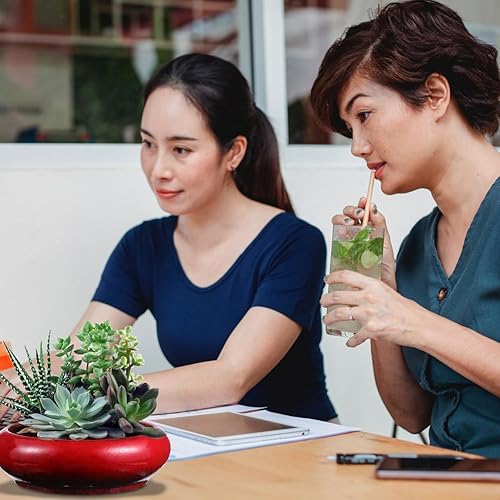 Miniatura 5 de Cabilock Maceta artística retro para suculentas, recipiente de cerámica roja para bonsái, macetas anchas redondas poco profundas para decoración de