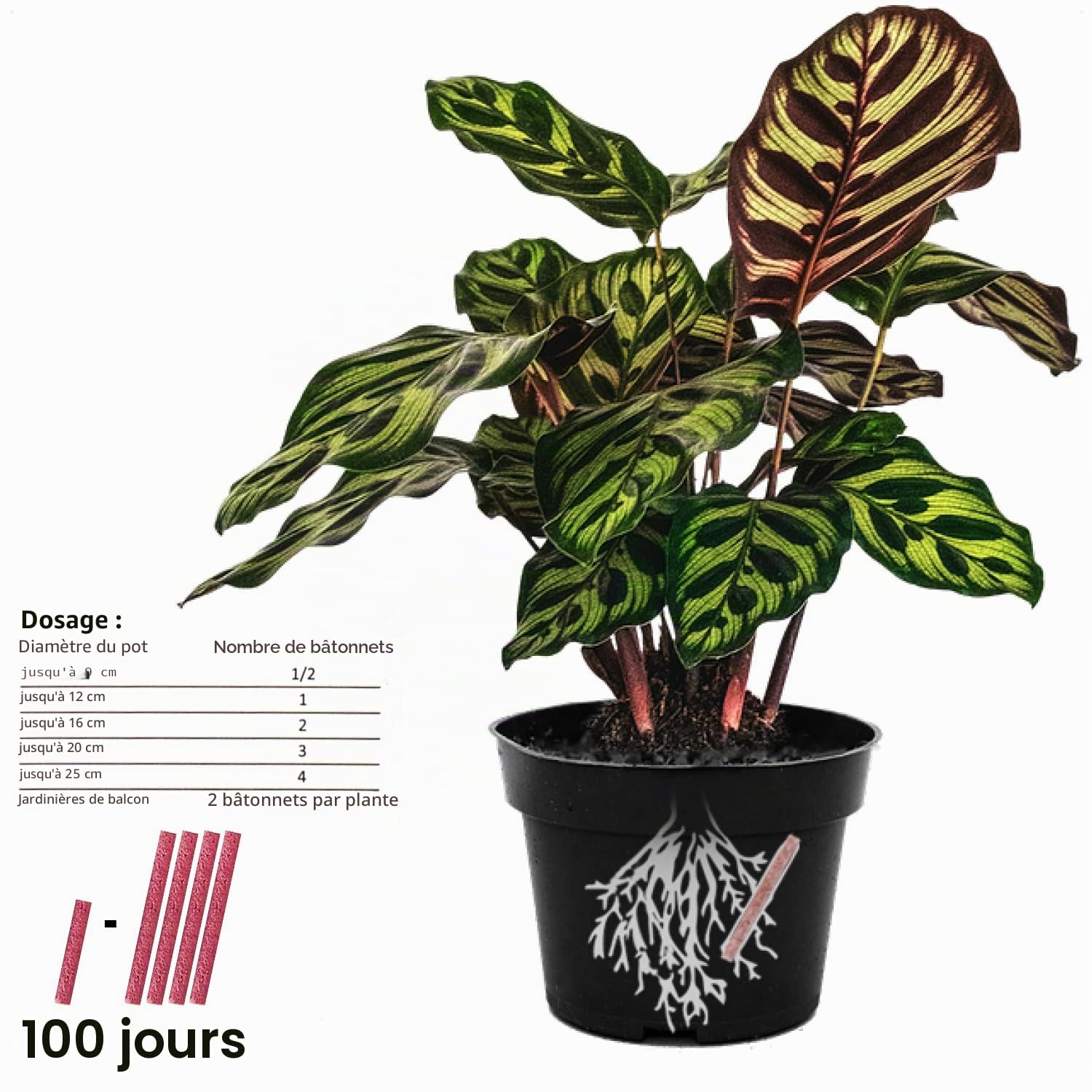 Com-Four Lot de 160 bâtonnets d'engrais pour fleurs