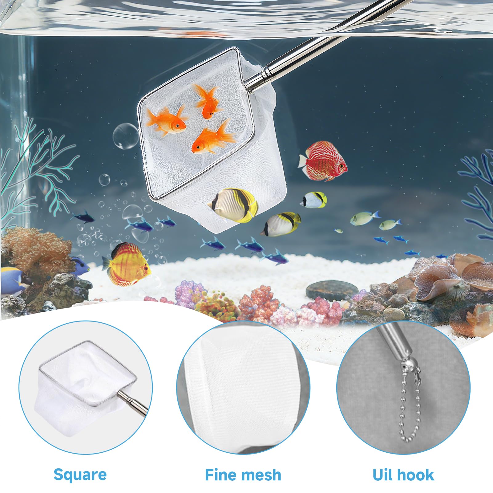 Mini Épuisette Aquarium,8CM Mailles Fines Carrées Souples avec Manche Extensible en Acier Inoxydable pour Aquariums et Petits Bassins(Longueur Maximale Jusqu'à 40 cm) - 4