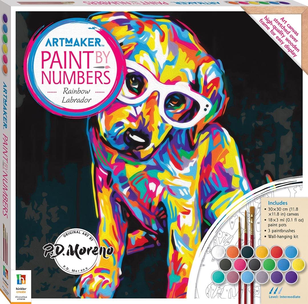 Art Maker Paint by Numbers Canvas Rainbow Labrador