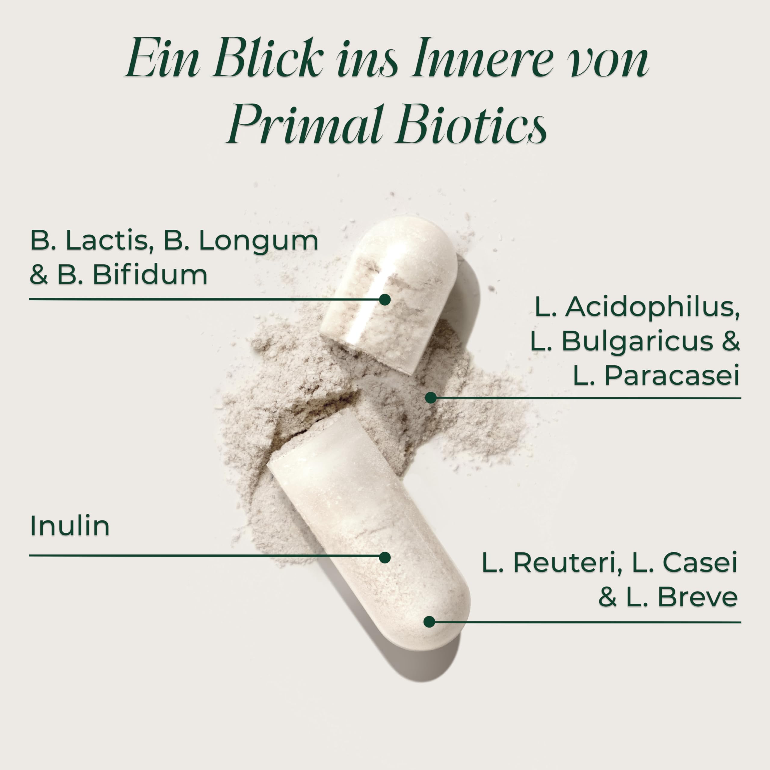 Primal Biotics - Tägliches Supplement, gluten- & sojafrei, vegetarisch