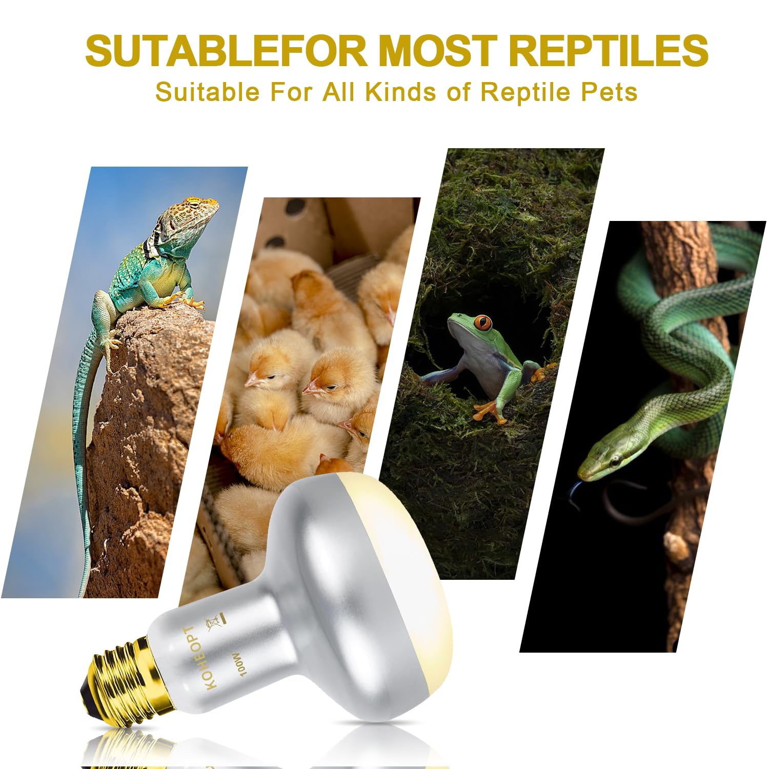 KOHEOPT Reptile Heat Lamp 100W,(2 Pack) Heat Emitter UVA Heat Lamp Bulb,Intense Basking Spot Simulated Natural Sunlight Heating Lamp Bulb, Fit E26 Pet Lighting fixtures,for Bearded Dragon, Lizard - image 5