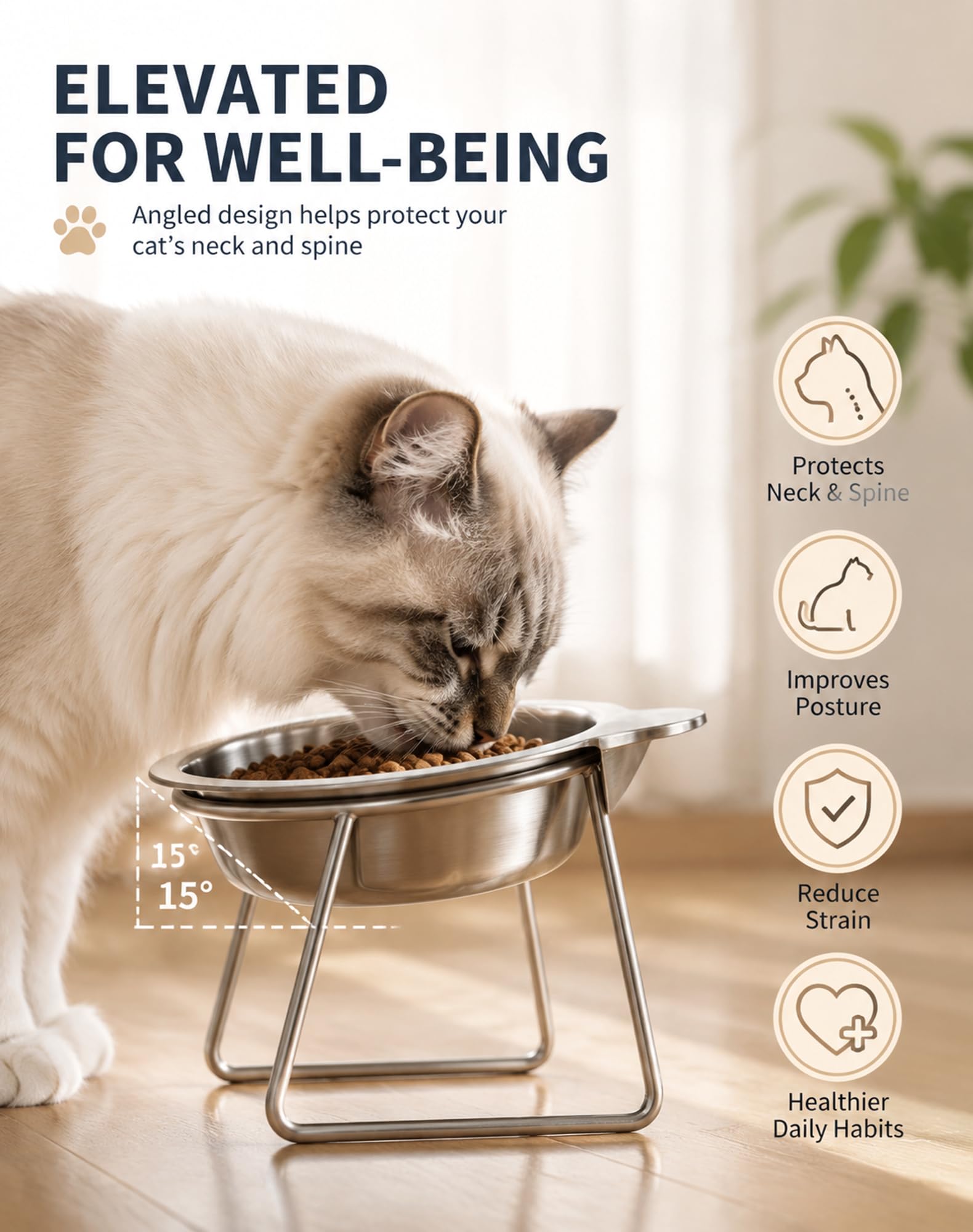 View 6