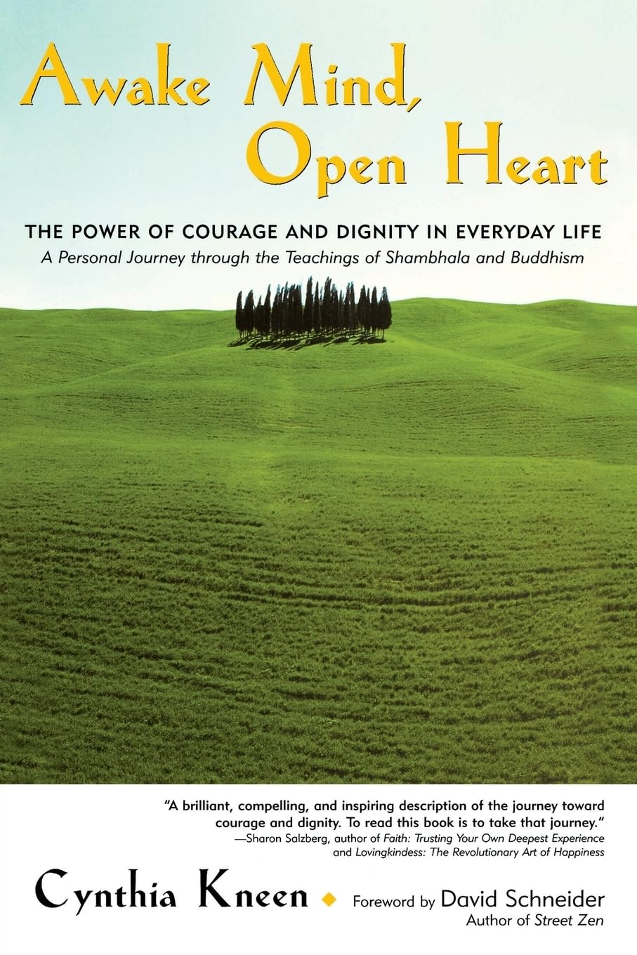 Awake Mind, Open Heart: The Power of Courage and Dignity in Everyday Life Kneen, Cynthia and Schneider, David