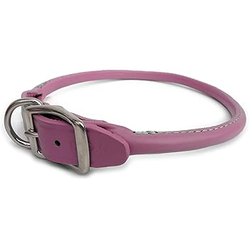 round leather dog collar