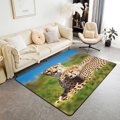 jejeloiu Alfombra estampada de leopardo para sala de estar, dormitorio, alfombra decorativa con estampado de guepardo, diseño de animales salvajes,