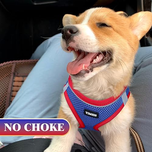 Miniatura 7 de XS - Juego de arnés y correa para perros pequeños con soporte para bolsa de excrementos y collar, arnés de malla suave para mascotas, chaleco