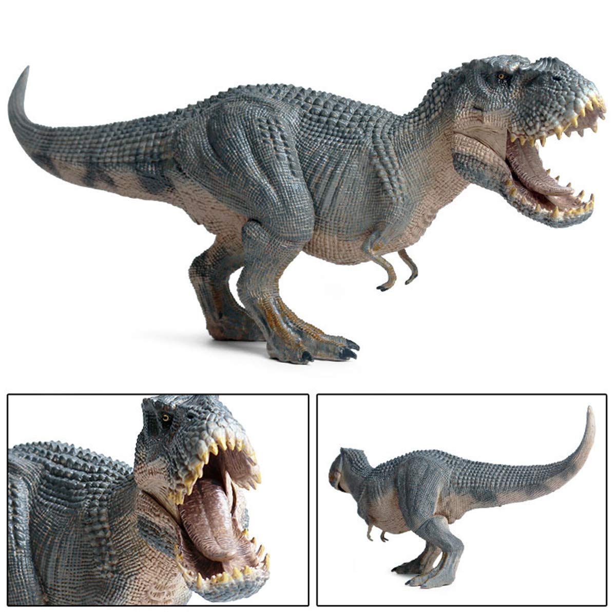 Amazon | Eden Toys ティラノサウルス・レックスT-REX T