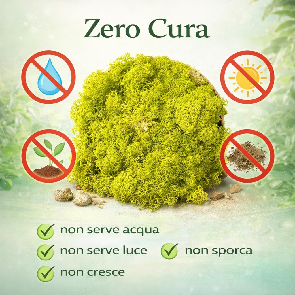 Lichene Stabilizzato Vero 100% Naturale, 500g - Muschio Scandinavo Conservato per Decorazioni - Ideale per Parete Verde, Terrario, Presepi, Modellismo e Composizioni Fai da Te (Blu Scuro, 500g)