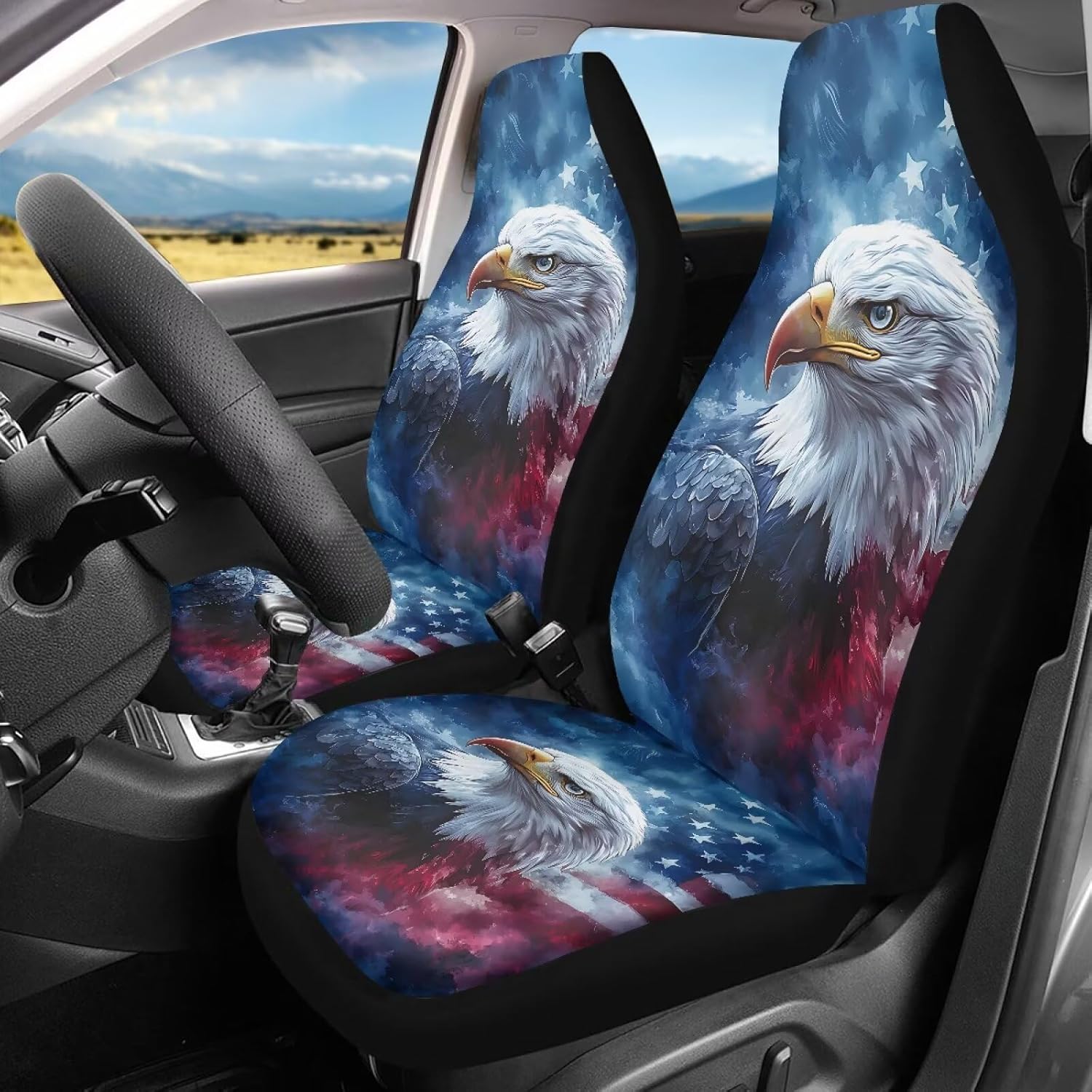 American Flag Bald Eagle