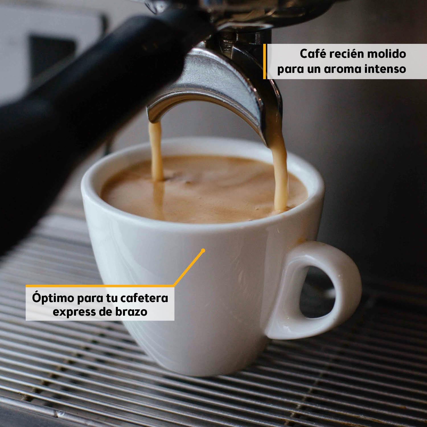 TZS FA Molinillo de Café Eléctrico y Espumador de Leche 2 en 1, 200W, 28000 RPM, 2 Vasos de Acero Inoxidable Desmontables 100g/100ml, 2 Velocidades, Plata
