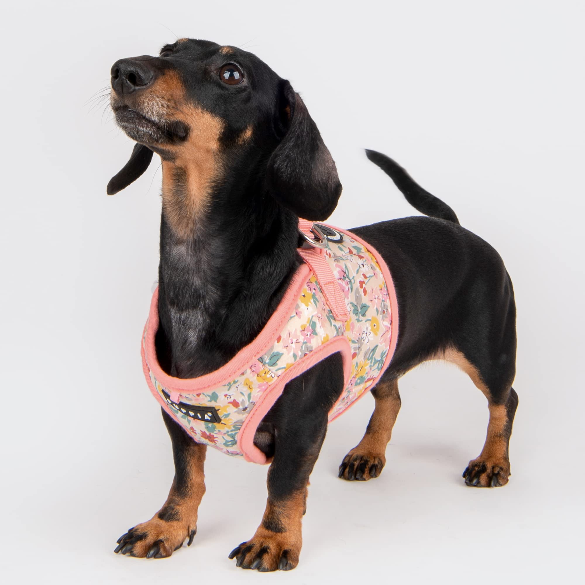 Puppia Lita - Arnés de Chaleco para Perro, sin estrangulamiento, sin tirones, para Entrenamiento para Perros pequeños y medianos, Rosa Indio, Talla XS