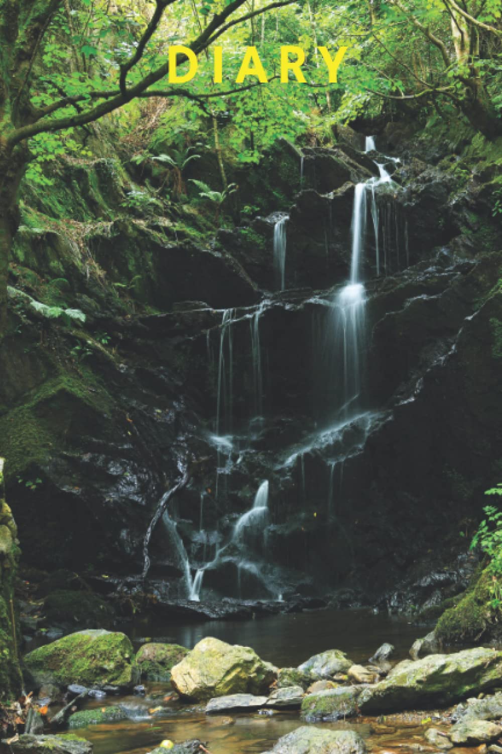 Fairy Glen Diary