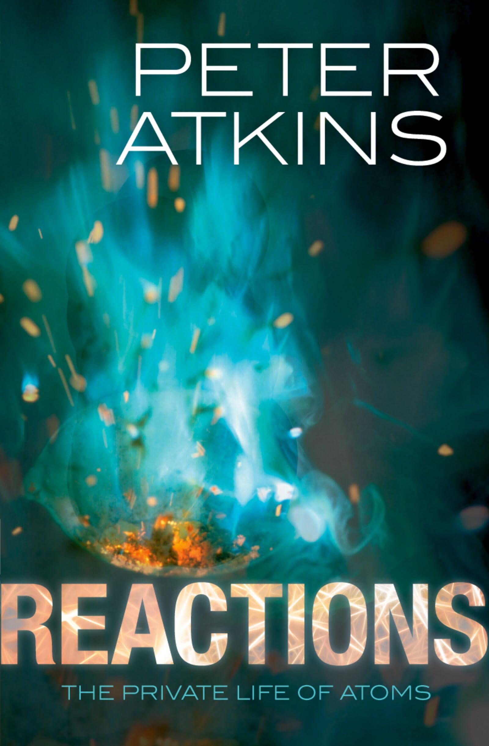Reactions Paperback – 6 December 2013