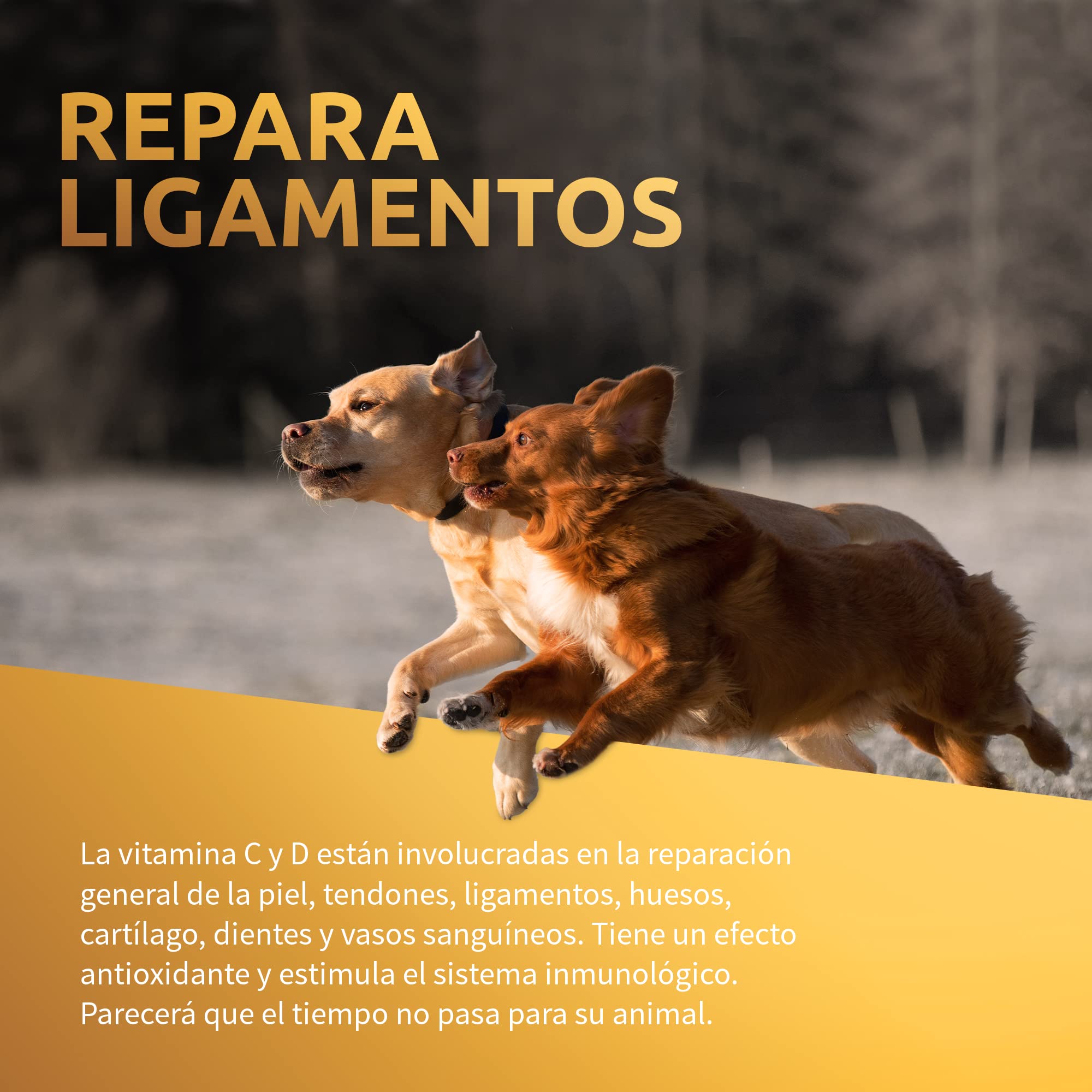 Suplemento Natural Antiinflamatorio Condoprotector para Perros y Gatos con Colágeno Hidrolizado, Glucosamina, Ácido Hialurónico, Magnesio, Vitamina C y D y Garra del Diablo