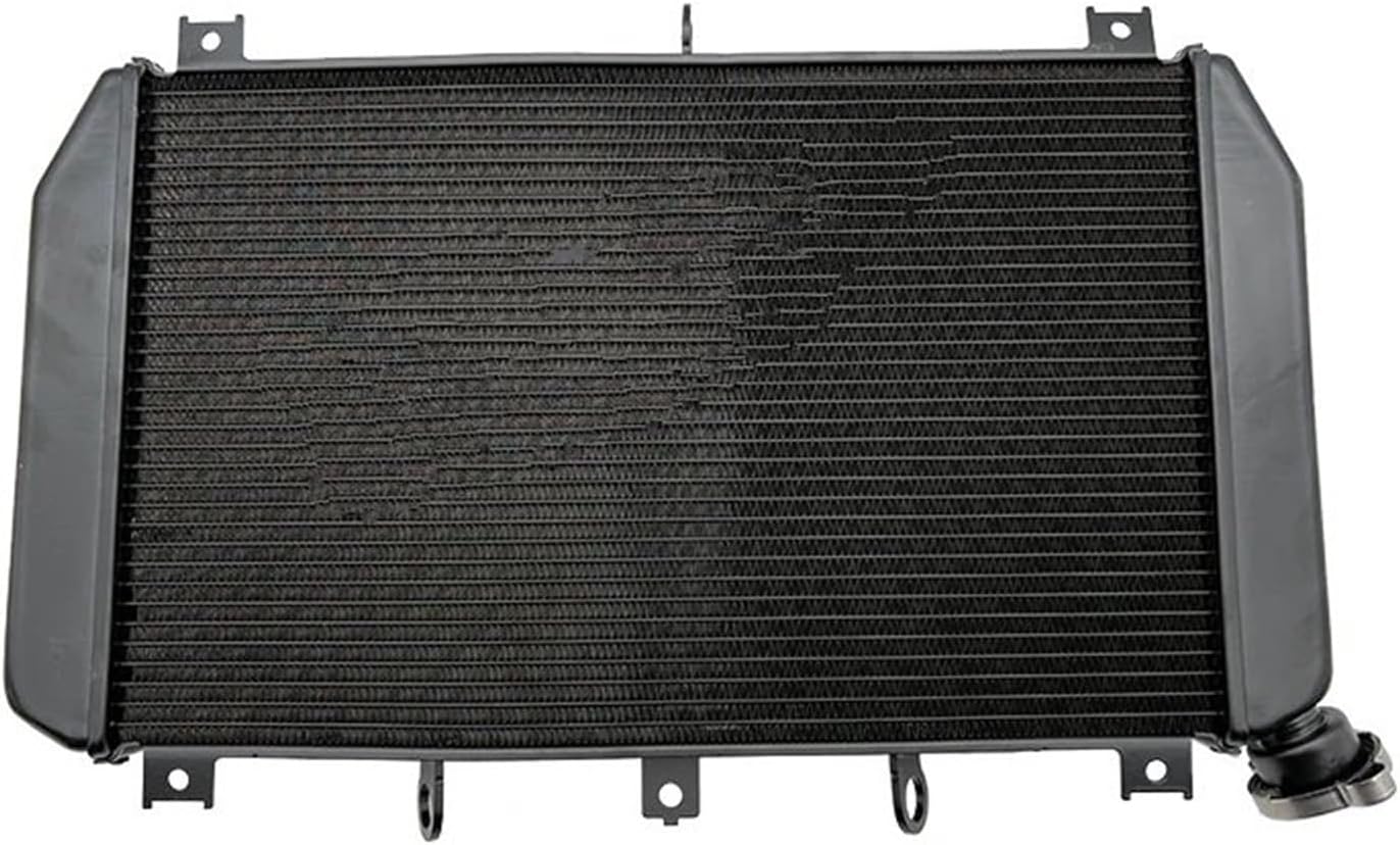 NSR50 mini ラジエーター 未使用 廃盤品 NSR50 mini ラジエーター 未