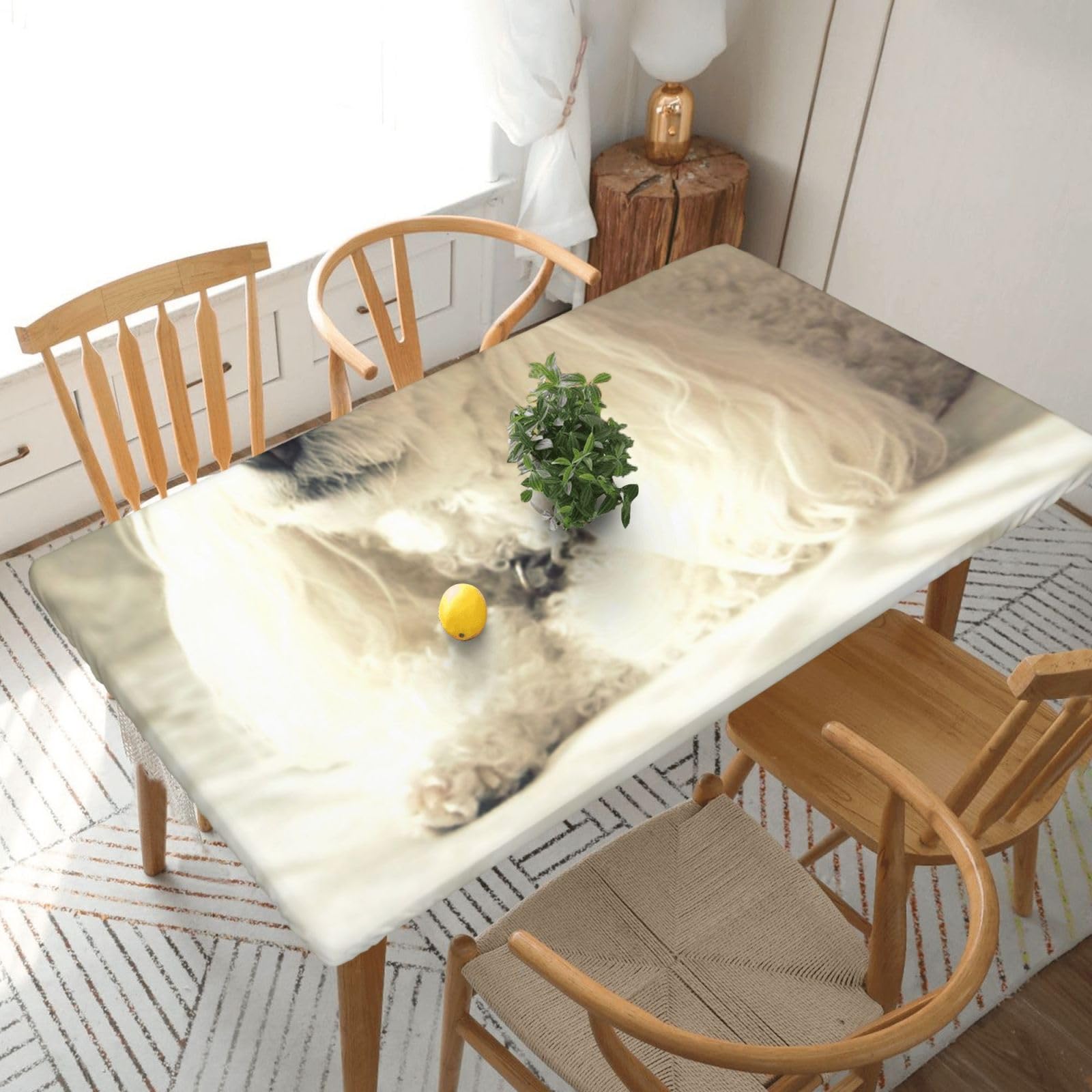 BNVSADC french poodle Printed 5FT Tablecloth Polyester Kitchen Water Resistant Table Cloth Dining Table Decoration Table Covers, 152x76 CM