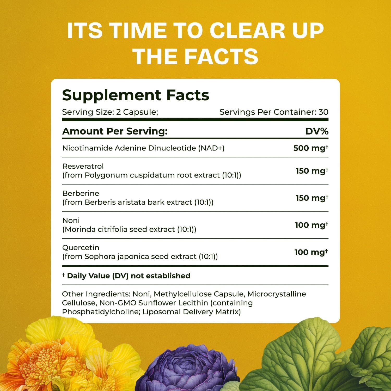 Liposomal NAD Supplement for Women w/Noni | 5-in-1 NAD Resveratrol Supplement w/Berberine & Quercetin | Pure NMN Powder Alternative | Supports Anti Aging & NAD+ Levels | 60 caps - 1 Pack - Image 6