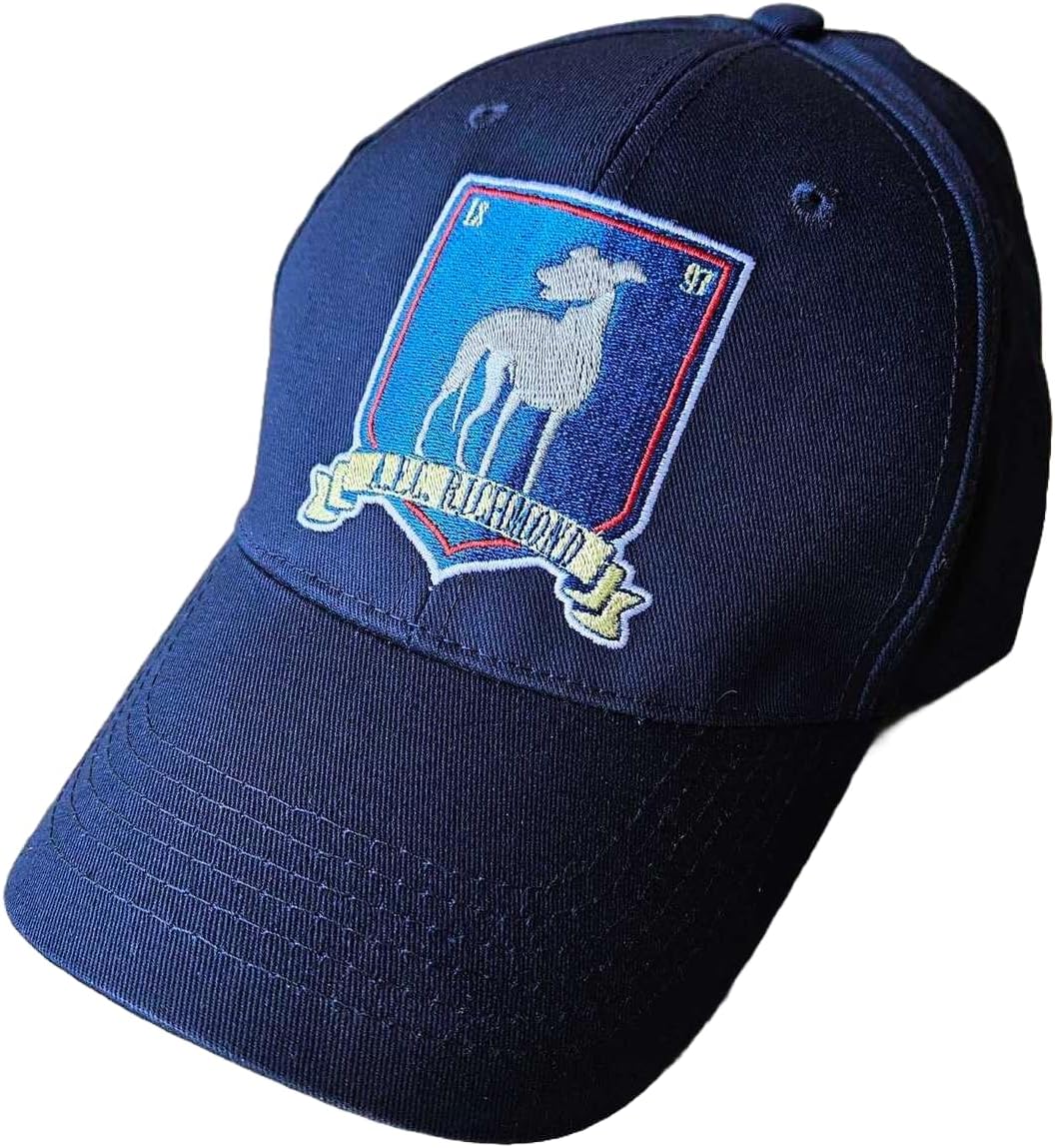 A.F.C. Richmond Football Club Hat - Everyday Wear & Soccer Coach Costume - Blue Baseball Cap Fan Apparel Team TV Show Gift - Image 4