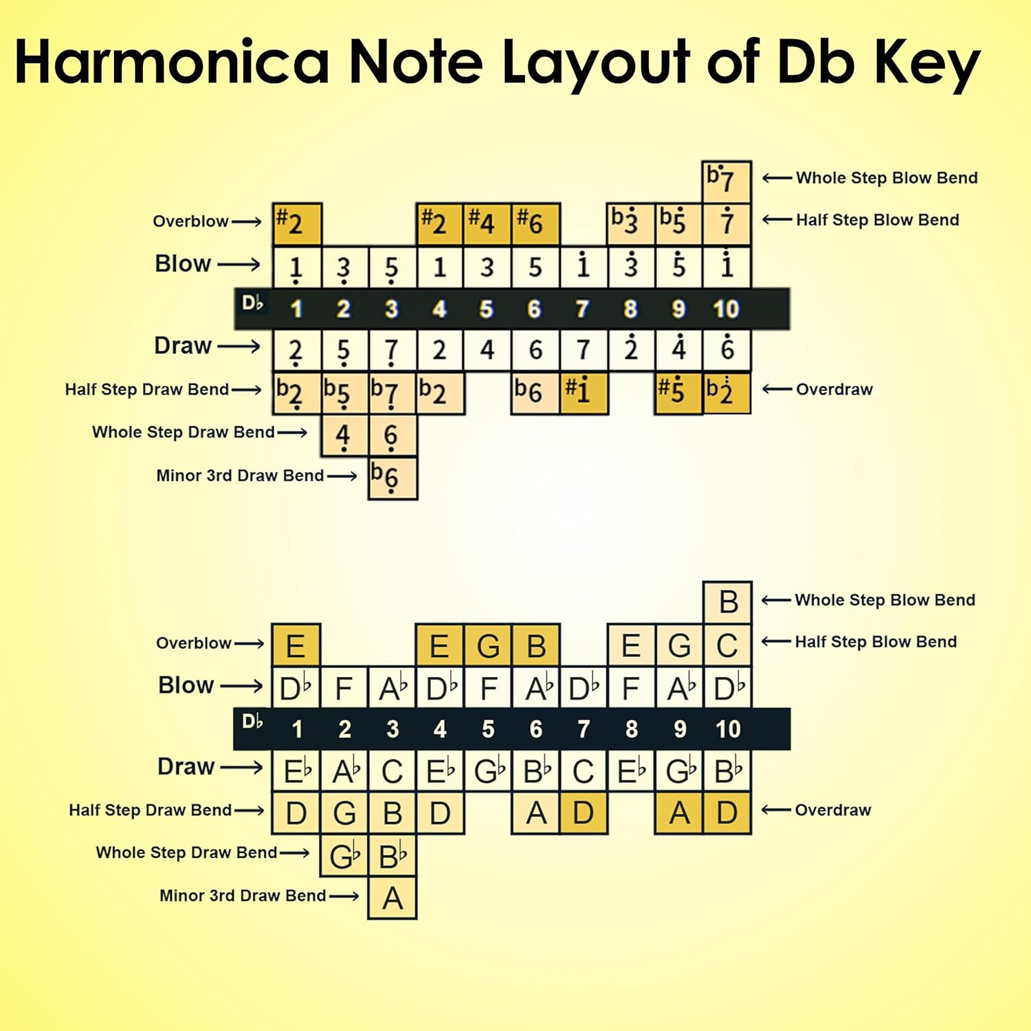Diatonic Harmonica of D flat Key,Blues Mouth Organ 10 Hole 20 Tones, Reed of Phosphor Bronze, ABS Combo, Easy-Clean Cover,10 Hole Blues Harp for Adult, Beginner
