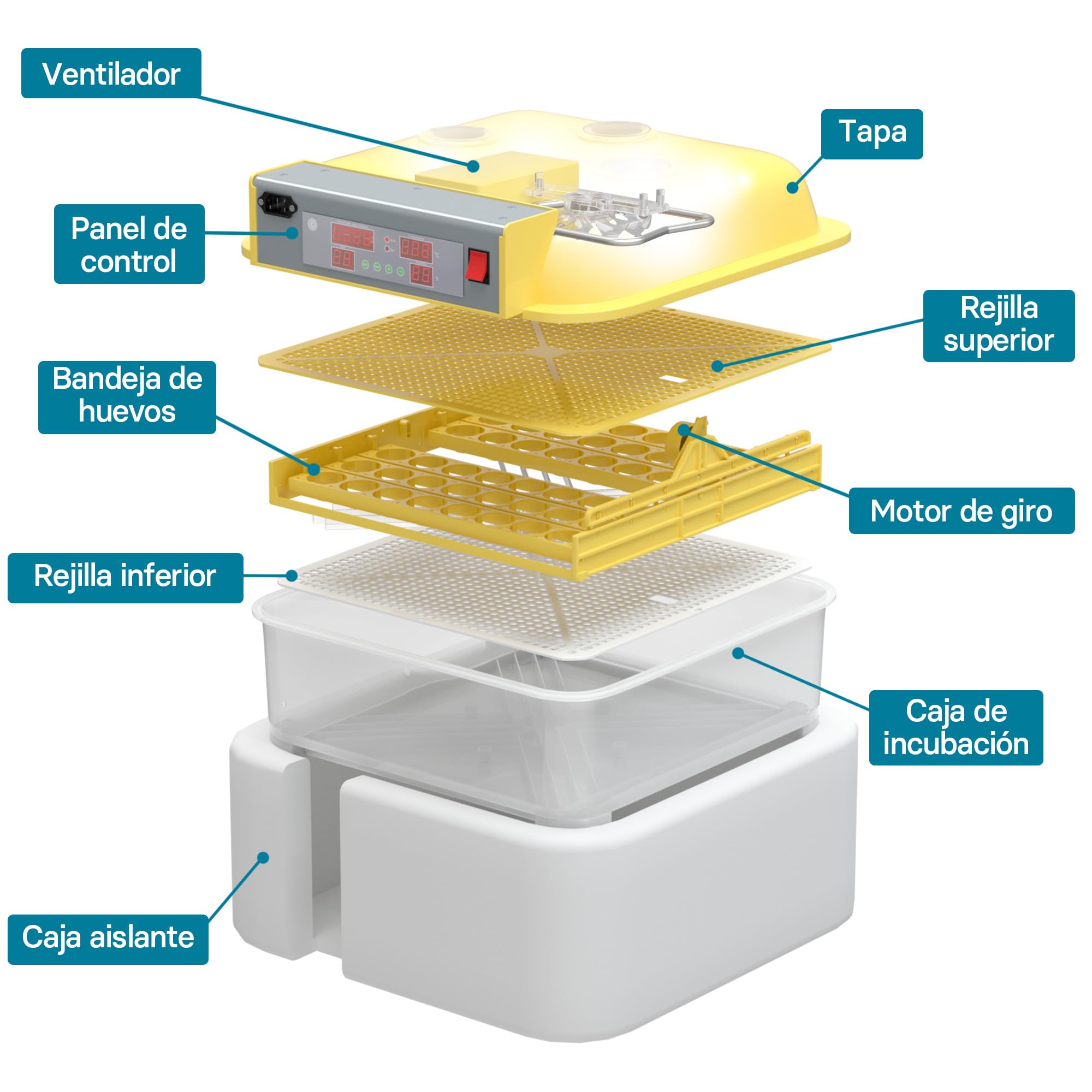 Incubadora automática capacidad para 48 huevos de gallina y 4 ventanas observación, pato, codorniz