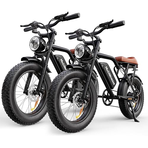Ebikes for Adults | 1500W | 33MPH | 40/75 Miles | 48V 15.6AH Removable Battery | 7-Speed | 3 Modes | Full Suspension | Dual Disc Brake | 20'' All-Terrain Fat Tires | UL 2849 Certified Electric Bike