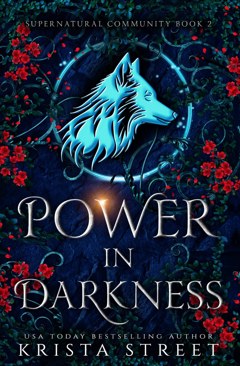 Power in Darkness: Paranormal Shifter Romance (Supernatural Community)