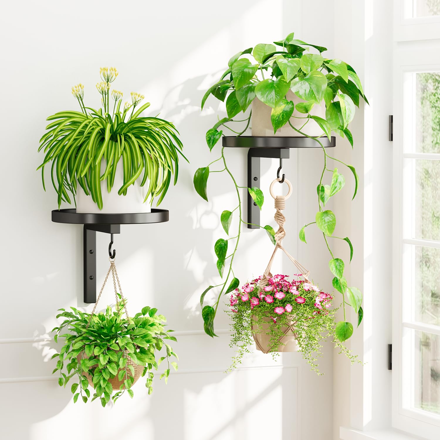 iDavosic.ly Wand Pflanzenhalter Set aus 2 Stück, Metall Blumenständer mit 2 Haken, Wandmontage Blumenregal für Fenster, Platzsparend & Einfach zu Montieren (Ohne Töpfe/Ketten/Pflanzen)