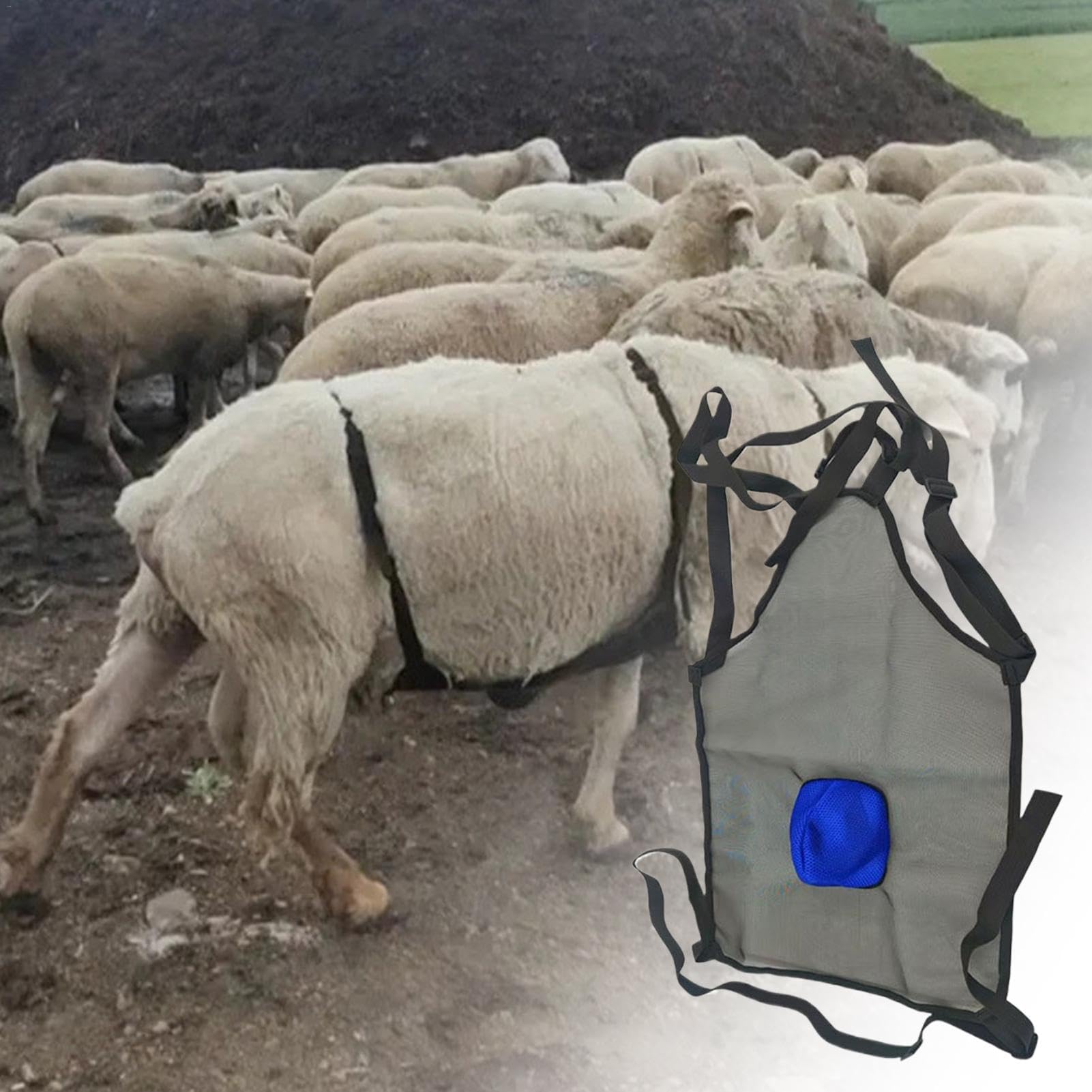 Tablier Anti-reproduction Pour Chèvres - Nylon, 64x36 Cm, Pour éviter Les Saillies Non Désirées à La Ferme