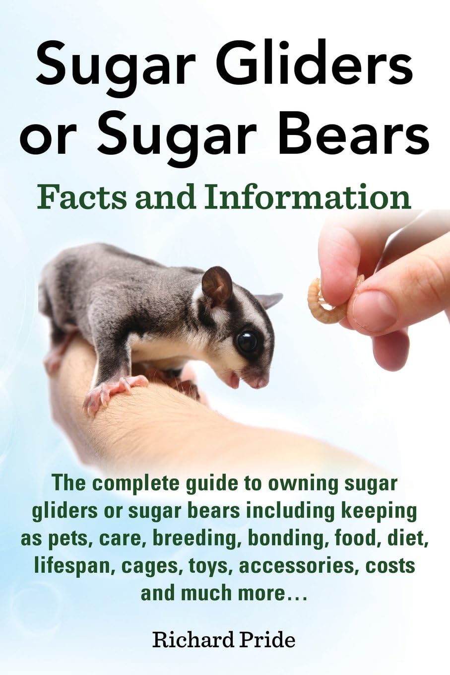 Sugar Gliders or Sugar Bears: Facts and Information