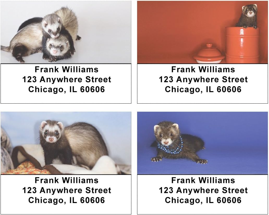Silly Ferrets Address Labels