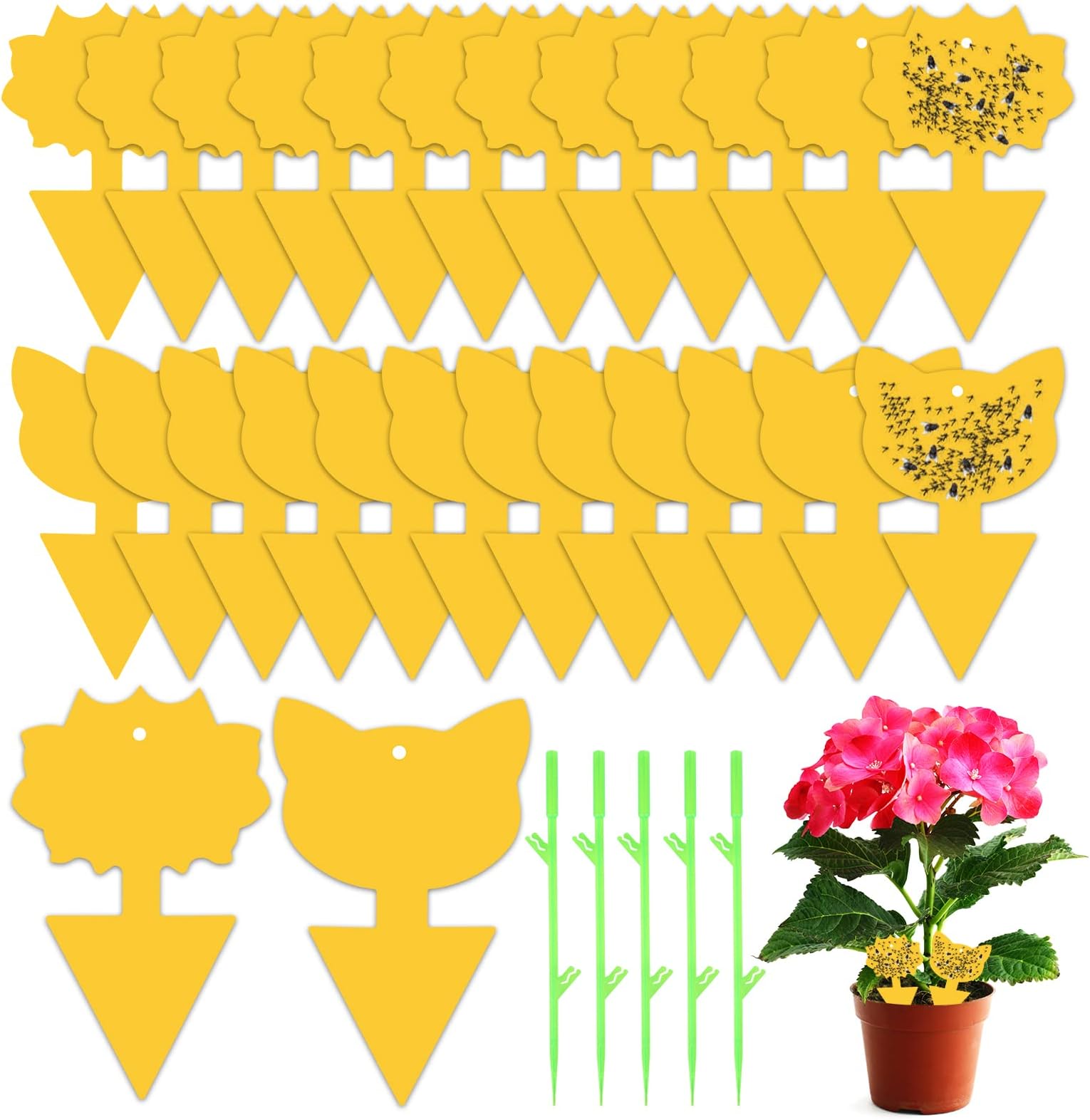 Fruit Fly Trap, 24 PCS Yellow Sticky Fly Traps Killer Fungus Gnat Sticky Traps, Double-Sided Fly Catchers for Protect Plants and Control Indoor Plant Bug, Fly Paper for Flies Mosquitoes Fungus Gnats