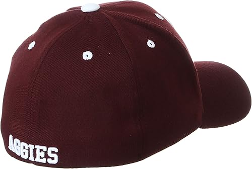 Miniatura 7 de ZHATS Sombrero ajustado elástico para hombre Color del equipo