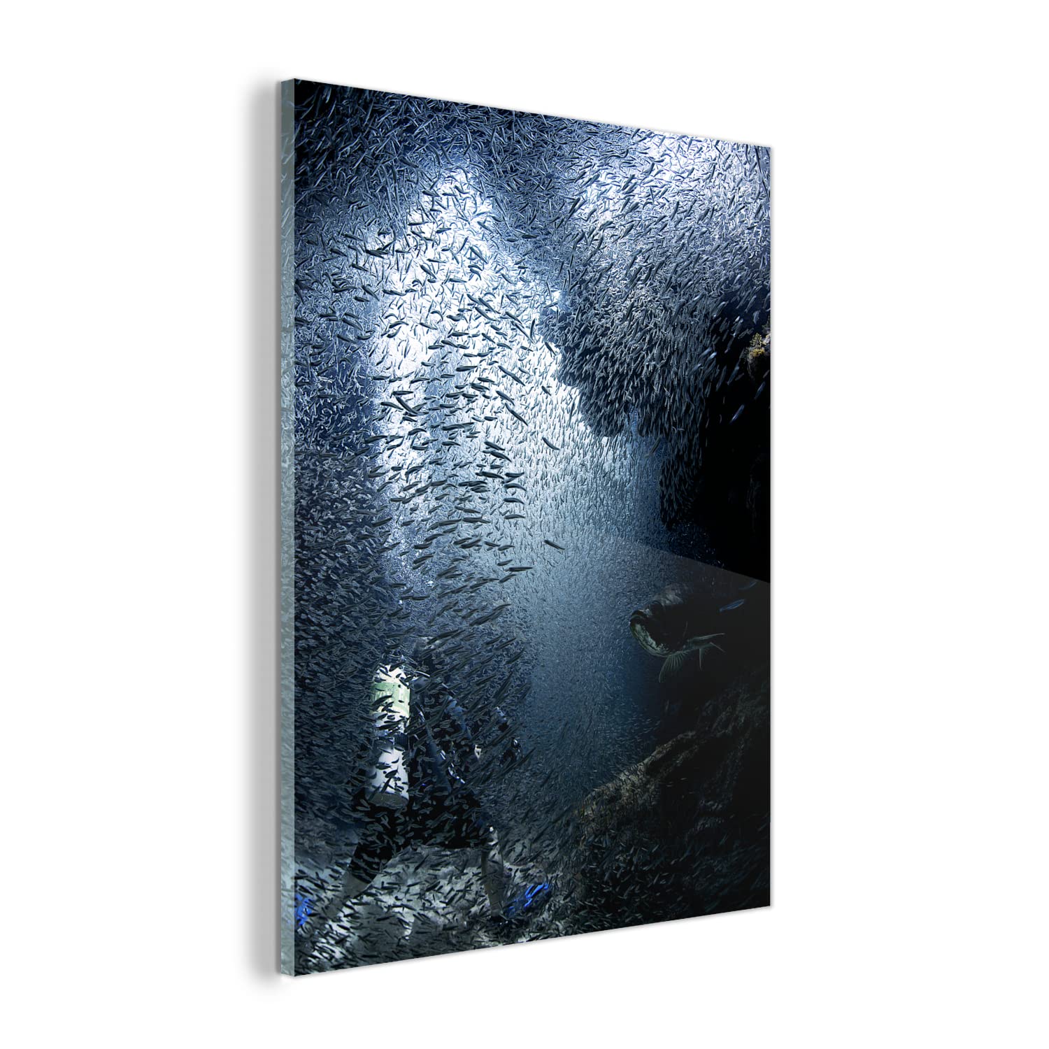 MuchoWow Glasbild Glasfoto Wandbild Bilder Deko 60x80 cm Taucher wird in den Höhlen vor Grand Cayman von Fischen überflutet