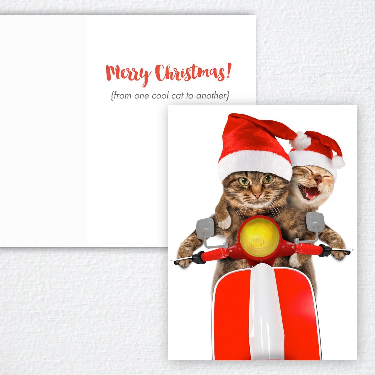 Canopy Street Scooter Cats Holiday Card Pack / 25 Animal Humor Greeting Cards With Envelopes/Funny Scooter Cat Santa Hat Design Featuring Christmas Message Inside