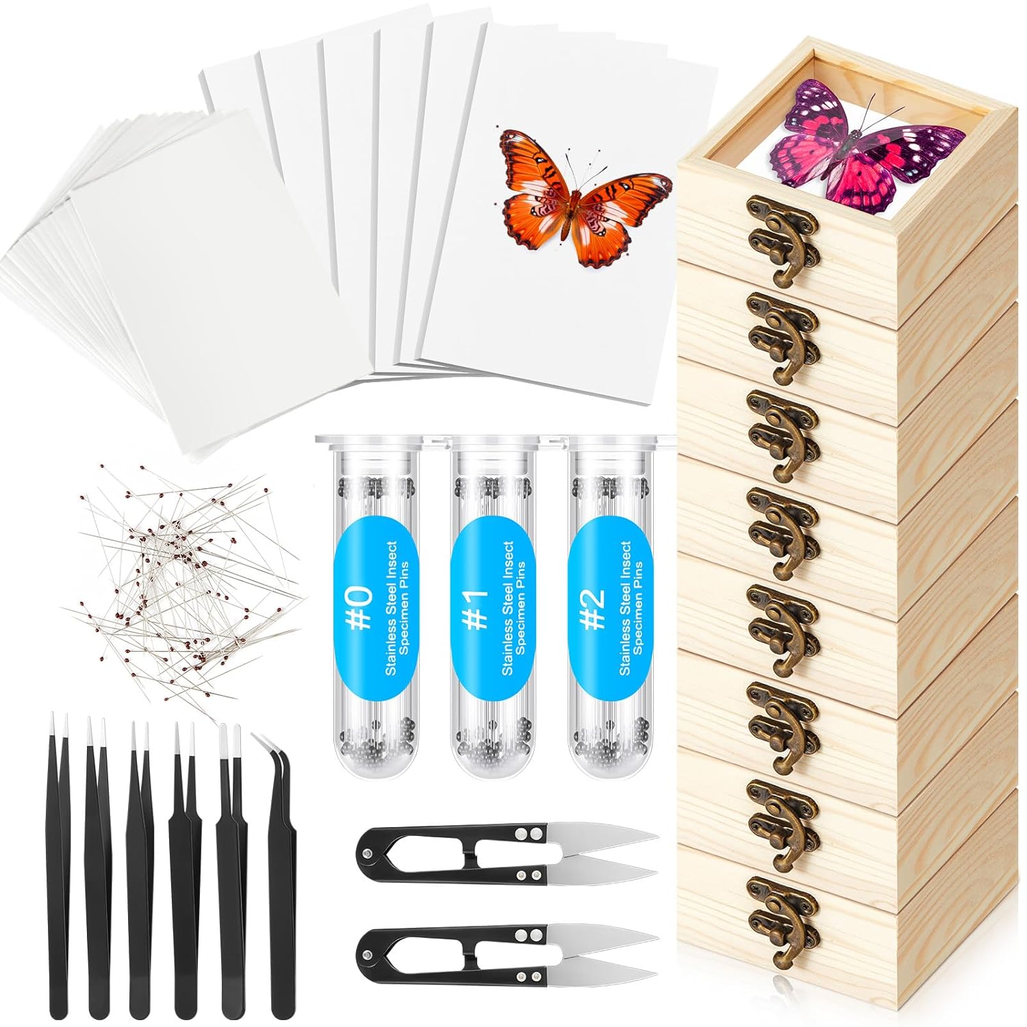 Spiareal 55 Pcs Insect Specimen Tools Kit Include 3.54 x 3.54 x 1.77 in