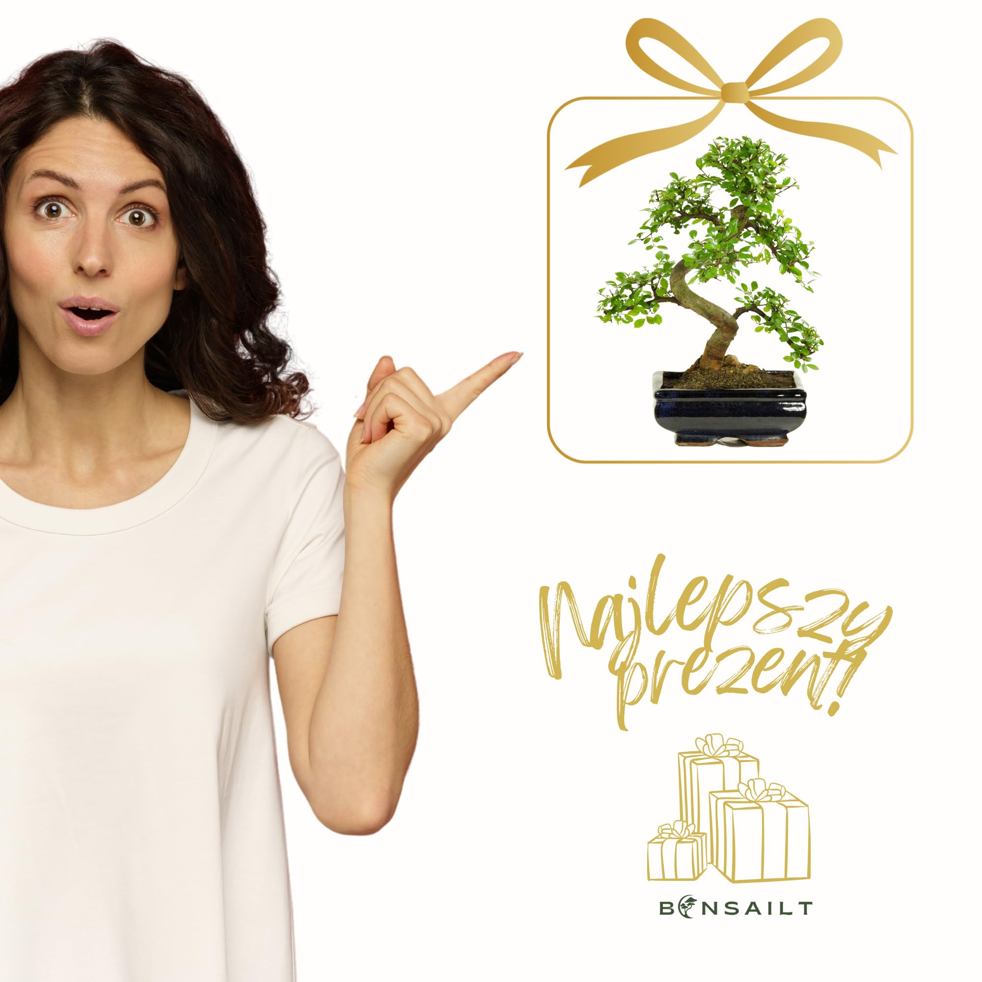 Bonsai mit Keramik Blumentopf ca. 8-9 Jahre alt, 35-40 cm Höhe - Pflegeleichter Indoor Bonsai für Anfänger & Profis, Dekoratives Zimmerpflanze, Ideal für Büro & Zuhause